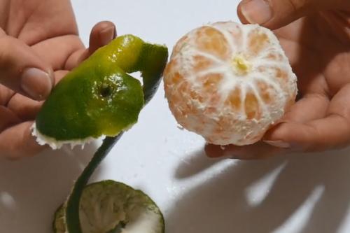 石家庄芩连堂传统中医门诊部提示橘子皮的妙用之处