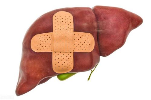 肝脏不好手上症状表现_怎么调理肝脏最简单？