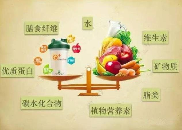(7)七大营养素有哪些分别起什么作用?